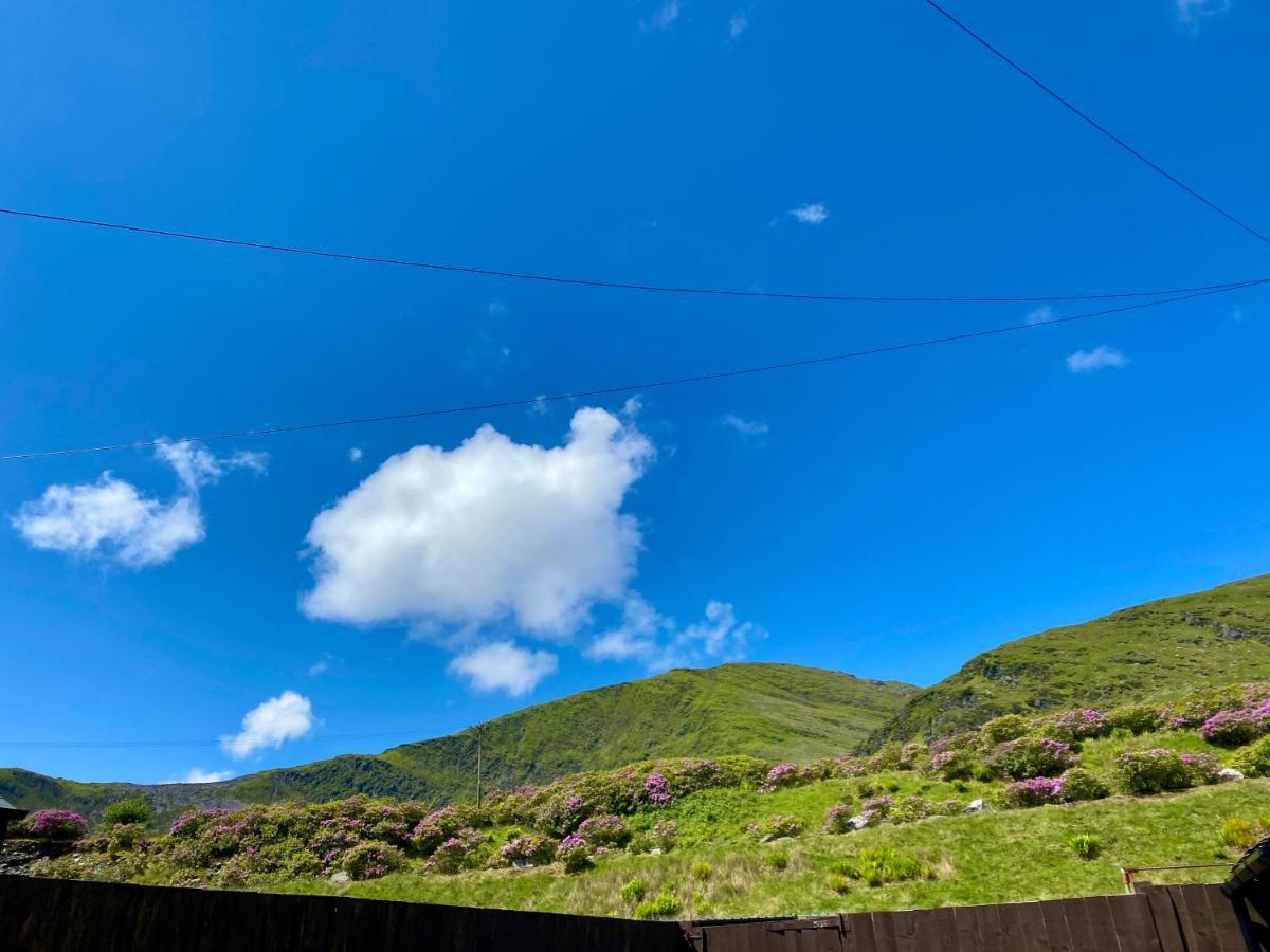 Antur Cottage Blaenau Ffestiniog Exteriör bild